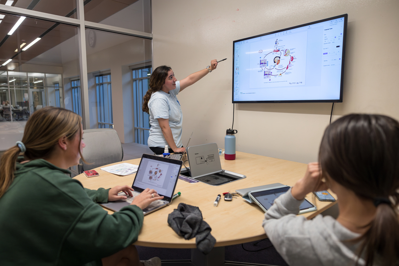 Students looking at computer in study room
